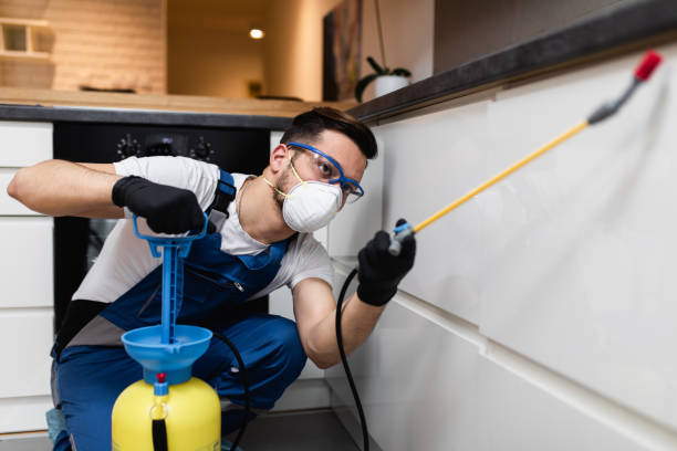 Best Rat Extermination Near Me  in Elizabeth City, NC