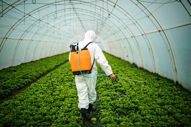 Best Pest Control Near Me  in Elizabeth City, NC