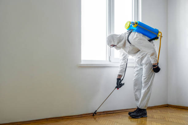 Flea Control Services in Elizabeth City, NC