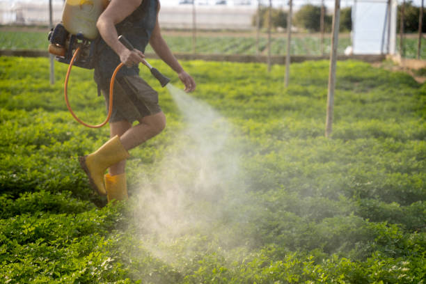 Best Affordable Pest Control Services  in Elizabeth City, NC