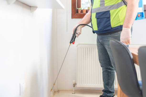 Reliable Elizabeth City, NC Pest Control Solutions