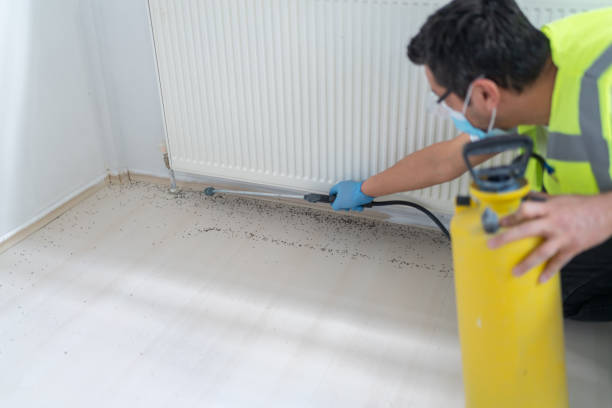 Best Residential Pest Control  in Elizabeth City, NC